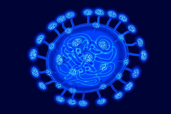 Illustration of the human coronavirus, causes infection in the respiratory tract and/or gastroenteritis, Viral diameter 80-160nm.